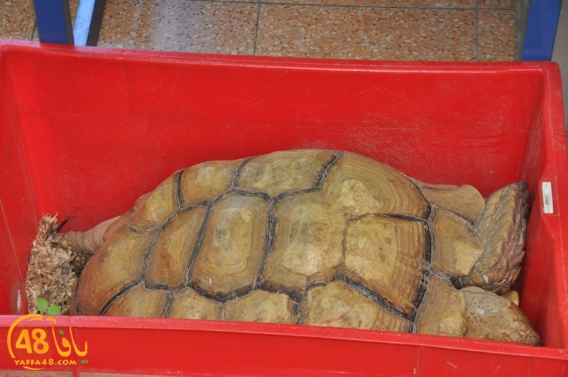 nady nhary 7san (32).JPG